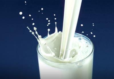 'Aflatoksin içermeyen süt bulamadım'