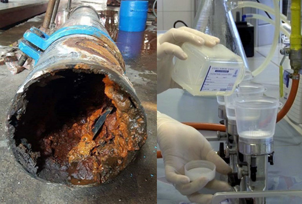 Gıda Hareketi bir kez daha haklı çıktı