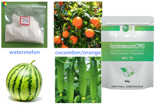 Meyve ve sebzelerdeki büyüme hormonuna dikkat