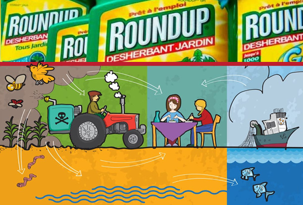 Mahkeme: Glifosat/Roundup, tarım ilacı olarak satılamaz